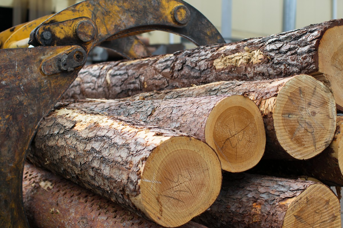 usługi ogrodnicze Dobczyce